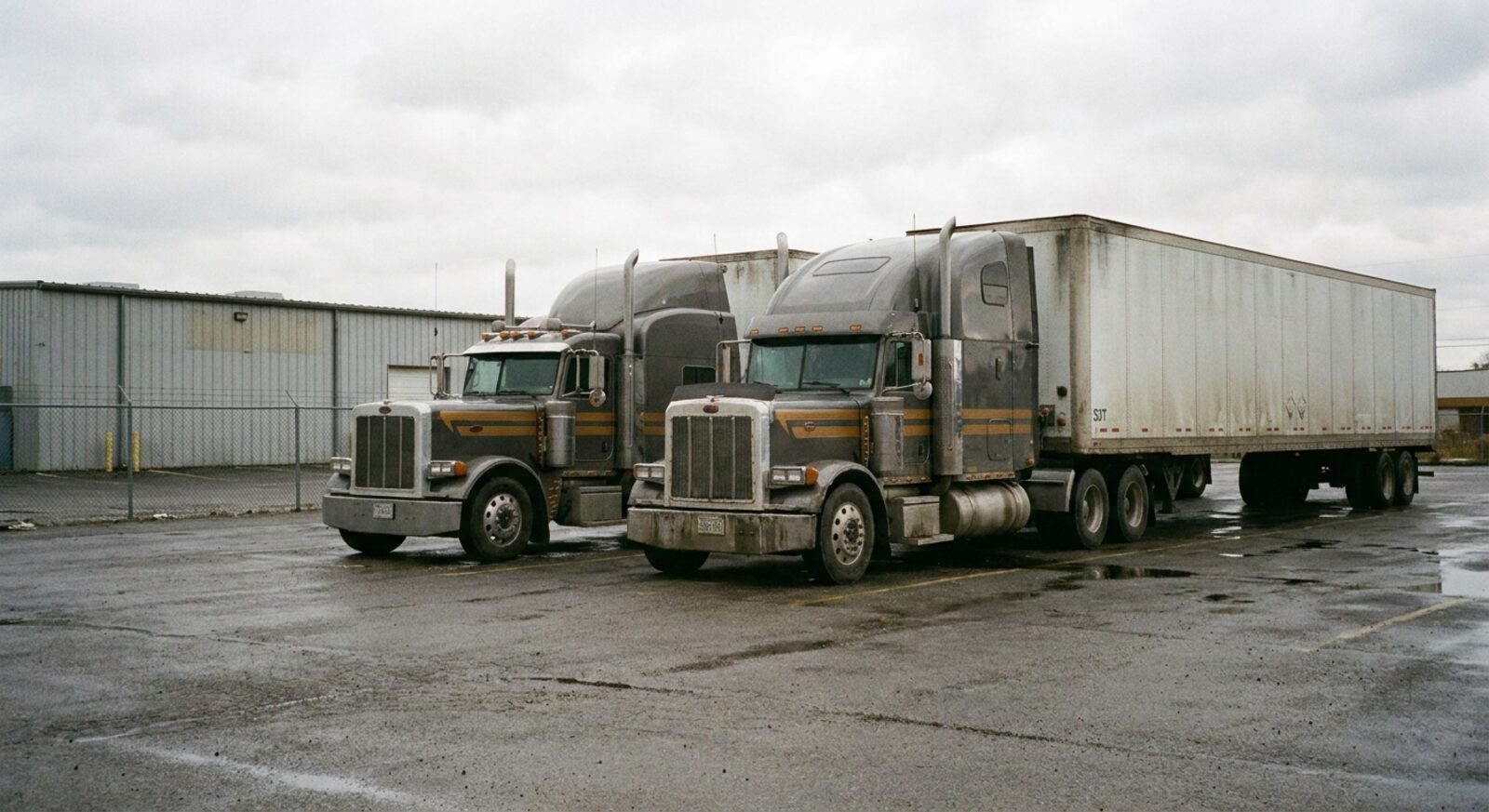 Ghotra Transline tractors and dry vans in the yard